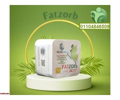 فات زورب من جولدن لاين للتخسيس وتشكيل الجسم - 1