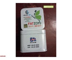 فات زورب من جولدن لاين للتخسيس وتشكيل الجسم - 3