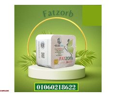 فات زورب لحرق الدهون وانقاص الوزن - 1