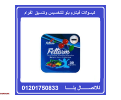 كبسولات فيتارم بلو للتخسيس وحرق الدهون Fettarm Blue - 1