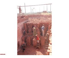 عزيزي العميل، في شركة النور نفخر بتقديم مجموعة من الطوب الأحمر الطفلي بجودة عالية - 3