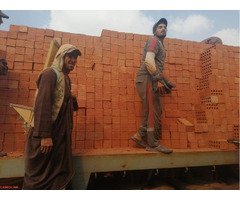 اسعرار تنافسية لطوب الاحمر الطفلي من شركة النور - 2