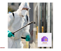 شركة العالمية لتوريد العمالة في مصر شركة رائدة في مجال توريد العمالة - 1