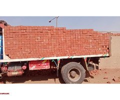 شركة النور لطوب الاحمر الطفلي باسعار تنافسية - 3