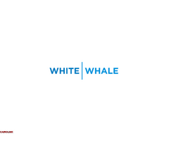 تصليح  غسالات وايت ويل ميت غمر  01060037840 - 1