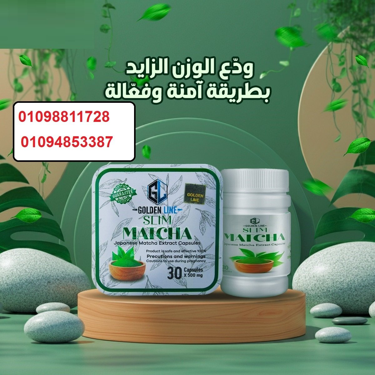 كبسولات الماتشا - التخسيس وسد الشهية بفعالية