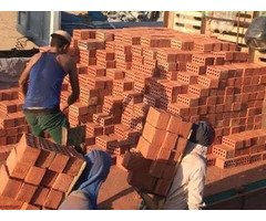 طوب احمر طفلي عالي الجودة مقدم من مصنع الامل بريك - 1