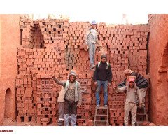 طوب احمر طفلي عالي الجودة مقدم من مصنع الامل بريك - 11