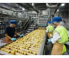 مطلوب عاي وجه السرعه 20عامل لمصنع جبنه والبان تعبئة وتغليف في اكتوبر - 1