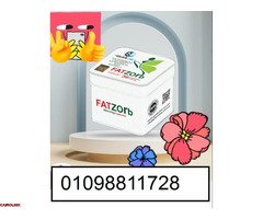 فات زورب - حرق الدهون وإنقاص الوزن بفعالية - 1