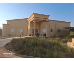 مزرعه بسمرقند بالريف الاوربي - 1