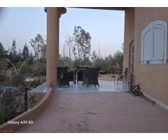 مزرعه بسمرقند بالريف الاوربي - 2