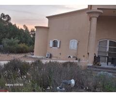 مزرعه بسمرقند بالريف الاوربي - 5