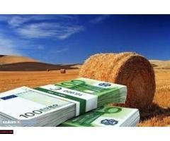 Do you need Finance? Are you looking for Finance - 1