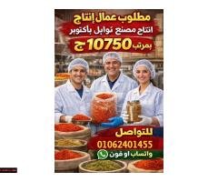 مطلوب شباب للعمل في مصنع توابل بصل في ٦ اكتوبر - 1
